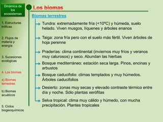 Dinámica de
los
ecosistemas
Biomas terrestres
Tundra: extremadamente fría (<10ºC) y húmeda, suelo
helado. Viven musgos, líquenes y árboles enanos
Taiga: zona fría pero con el suelo más fértil. Viven árboles de
hoja perenne
Praderías: clima continental (inviernos muy fríos y veranos
muy calurosos) y seco. Abundan las hierbas
Bosque mediterráneo: estación seca larga. Pinos, encinas y
arbustos
Bosque caducifolio: climas templados y muy húmedos.
Árboles caducifolios
Desierto: zonas muy secas y elevado contraste térmico entre
día y noche. Sólo plantas xerófitas
Selva tropical: clima muy cálido y húmedo, con mucha
precipitación. Plantes tropicales
1. Estructuras
tróficas
2. Flujos de
materia y
energía
3. Sucesiones
ecológicas
4. Los biomas
a) Biomas
terrestres
b) Biomas
acuáticos
5. Ciclos
biogeoquímicos
 