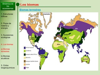 Dinámica de
los
ecosistemas
1. Estructuras
tróficas
2. Flujos de
materia y
energía
3. Sucesiones
ecológicas
4. Los biomas
a) Biomas
terrestres
b) Biomas
acuáticos
5. Ciclos
biogeoquímicos
Biomas terrestres
 