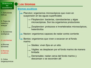 Dinámica de
los
ecosistemas
Biomas acuáticos
Plancton: organismos microscópicos que viven en
suspensión en las aguas superficiales
1. Estructuras
tróficas
2. Flujos de
materia y
energía
3. Sucesiones
ecológicas
4. Los biomas
a) Biomas
terrestres
b) Biomas
acuáticos
5. Ciclos
biogeoquímicos
Fitoplancton: bacterias, cianobacterias y algas
microscópicas. Son los organismos productores
Zooplancton: protozoos e invertebrados microscópicos,
heterótrofos
Necton: organismos capaces de nadar contra corriente
Bentos: organismos que viven o excavan en el fondo
marino
Sésiles: viven fijos en un sitio
Vágiles: es desplacen por el fondo marino de manera
limitada
Demersales: nadan cerca del fondo marino y
descansan o se esconden allí
 