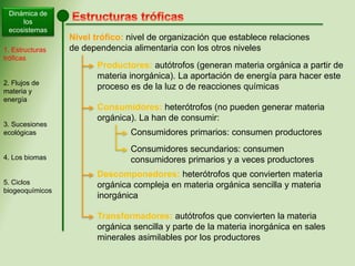 Dinámica de
los
ecosistemas
1. Estructuras
tróficas
2. Flujos de
materia y
energía
3. Sucesiones
ecológicas
4. Los biomas
5. Ciclos
biogeoquímicos
Nivel trófico: nivel de organización que establece relaciones
de dependencia alimentaria con los otros niveles
Productores: autótrofos (generan materia orgánica a partir de
materia inorgánica). La aportación de energía para hacer este
proceso es de la luz o de reacciones químicas
Consumidores: heterótrofos (no pueden generar materia
orgánica). La han de consumir:
Consumidores primarios: consumen productores
Consumidores secundarios: consumen
consumidores primarios y a veces productores
Descomponedores: heterótrofos que convierten materia
orgánica compleja en materia orgánica sencilla y materia
inorgánica
Transformadores: autótrofos que convierten la materia
orgánica sencilla y parte de la materia inorgánica en sales
minerales asimilables por los productores
 