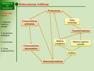 Dinámica de
los
ecosistemas
1. Estructuras
tróficas
2. Flujos de
materia y
energía
3. Sucesiones
ecológicas
4. Los biomas
5. Ciclos
biogeoquímicos
Productores
Consumidores
primarios
Descomponedores
Transformadores
Consumidores
secundarios
HUMUS
Materia
inorgánica
Materia orgánica
sencilla
Sales
minerales
 