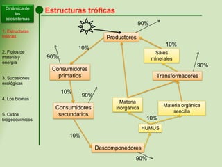 Dinámica de
los
ecosistemas
1. Estructuras
tróficas
2. Flujos de
materia y
energía
3. Sucesiones
ecológicas
4. Los biomas
5. Ciclos
biogeoquímicos
Productores
Consumidores
primarios
Descomponedores
Transformadores
Consumidores
secundarios
HUMUS
Materia
inorgánica Materia orgánica
sencilla
Sales
minerales
90%
10%
10%
10%
10%
90%
90%
90%
90%
10%
 