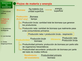 Biomasa
Kg materia viva
unidad superficie
energía
superficie
Producción
(KJ/m2·any)
Productividad primaria
biomasa
Rendimiento
del ecosistema
Dinámica de
los
ecosistemas
1. Estructuras
tróficas
2. Flujos de
materia y
energía
3. Sucesiones
ecológicas
4. Los biomas
5. Ciclos
biogeoquímicos
Biomasa
tiempo
Producción bruta: cantidad total de biomasa que generan
los productores
Producción neta: cantidad de biomasa que realmente pasa
a los consumidores primarios
Producción neta = producción bruta - respiración
Producción bruta
biomasa
Producción neta
Producción bruta
EficienciaProductividad
Productividad primaria: producción de biomasa por parte sólo
de organismos fotosintéticos
Productividad secundaria: producción de biomasa por parte
del resto de niveles tróficos
 
