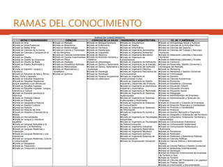 RAMAS DEL CONOCIMIENTO
 
