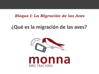 Bloque I: La Migración de las Aves
¿Qué es la migración de las aves?
 