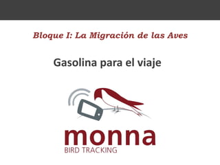 Bloque I: La Migración de las Aves
Gasolina para el viaje
 