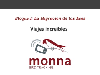 Bloque I: La Migración de las Aves
Viajes increíbles
 