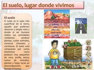 El suelo, lugar donde vivimos
El suelo
El suelo es la capa más
superficial de la tierra,
aquella que podemos
observar a simple vista y
donde el ser humano
realiza sus actividades
cotidianas: sembrar
plantas, cuidar animales,
construir viviendas y
carreteras. El suelo está
compuesto por varios
elementos como
pedazos muy pequeños
de roca, arcilla, arena,
restos de animales,
plantas y hojas secas en
descomposición, que
forman el humus.
 