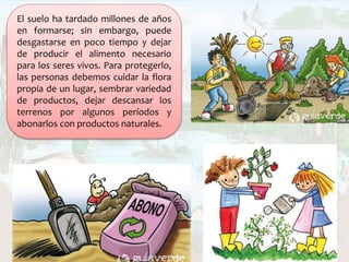 El suelo ha tardado millones de años
en formarse; sin embargo, puede
desgastarse en poco tiempo y dejar
de producir el alimento necesario
para los seres vivos. Para protegerlo,
las personas debemos cuidar la flora
propia de un lugar, sembrar variedad
de productos, dejar descansar los
terrenos por algunos períodos y
abonarlos con productos naturales.
 