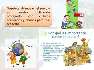 Nosotros vivimos en el suelo y
es nuestra obligación
protegerlo, con cultivos
adecuados y abonos para que
sea fértil.
 