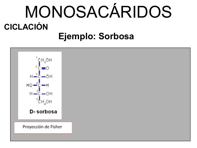 Bloque1 glúcidos c