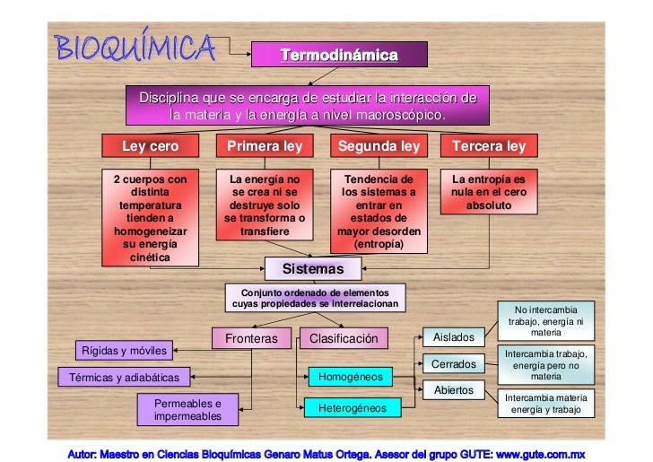 Introducción a la Termodinámica y la Bioquímica