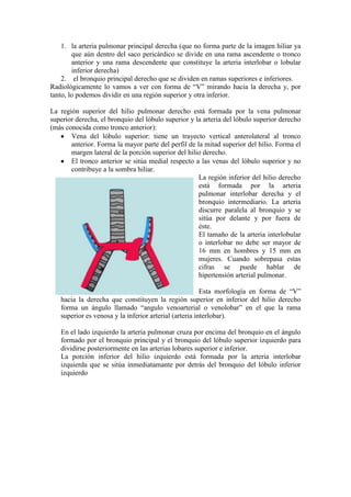 1. la arteria pulmonar principal derecha (que no forma parte de la imagen hiliar ya
        que aún dentro del saco pericárdico se divide en una rama ascendente o tronco
        anterior y una rama descendente que constituye la arteria interlobar o lobular
        inferior derecha)
    2. el bronquio principal derecho que se dividen en ramas superiores e inferiores.
Radiológicamente lo vamos a ver con forma de “V” mirando hacia la derecha y, por
tanto, lo podemos dividir en una región superior y otra inferior.

La región superior del hilio pulmonar derecho está formada por la vena pulmonar
superior derecha, el bronquio del lóbulo superior y la arteria del lóbulo superior derecho
(más conocida como tronco anterior):
       Vena del lóbulo superior: tiene un trayecto vertical anterolateral al tronco
       anterior. Forma la mayor parte del perfil de la mitad superior del hilio. Forma el
       margen lateral de la porción superior del hilio derecho.
       El tronco anterior se sitúa medial respecto a las venas del lóbulo superior y no
       contribuye a la sombra hiliar.
                                                     La región inferior del hilio derecho
                                                     está formada por la arteria
                                                     pulmonar interlobar derecha y el
                                                     bronquio intermediario. La arteria
                                                     discurre paralela al bronquio y se
                                                     sitúa por delante y por fuera de
                                                     éste.
                                                     El tamaño de la arteria interlobular
                                                     o interlobar no debe ser mayor de
                                                     16 mm en hombres y 15 mm en
                                                     mujeres. Cuando sobrepasa estas
                                                     cifras se puede hablar de
                                                     hipertensión arterial pulmonar.

                                                        Esta morfología en forma de “V”
   hacia la derecha que constituyen la región superior en inferior del hilio derecho
   forma un ángulo llamado “angulo venoarterial o venolobar” en el que la rama
   superior es venosa y la inferior arterial (arteria interlobar).

   En el lado izquierdo la arteria pulmonar cruza por encima del bronquio en el ángulo
   formado por el bronquio principal y el bronquio del lóbulo superior izquierdo para
   dividirse posteriormente en las arterias lobares superior e inferior.
   La porción inferior del hilio izquierdo está formada por la arteria interlobar
   izquierda que se sitúa inmediatamante por detrás del bronquio del lóbulo inferior
   izquierdo
 