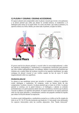 C) PLEURA Y CISURAS. CISURAS ACCESORIAS.
El espacio pleural está comprendido entre la pleura visceral que reviste a los pulmones
y la pleura parietal que cubre por dentro la cavidad torácica, el mediastino y el
diafragma para unirse en la región hiliar. Es como una bolsa que rodea el pulmón y la
apertura estaría en el hilio. Rodea, por tanto todo el pulmón, excepto los hilios.




El grosor total de las pleuras parietal y visceral sobre la convexidad pulmonar y sobre
las superficies diafragmática y mediastínica es normalmente insuficiente para permitir
que sean visibles radiográficamente, sin embargo, debido a la presencia del pulmón que
contiene aire a ambos lados de la pleura visceral en las regiones interlobares, las capas
contiguas de pleural visceral sí son visibles cuando un haz de rayos X incide
tangencialmente sobre sus superficies.

Anatomía pleural
La pleura es una membrana serosa que envuelve el pulmón y delinea la superficie
costal, diafragma y mediastino. Se compone, como ya hemos dicho de dos
componentes: la pleura visceral y la pleura parietal que se unen en el hilio. La pleura
parietal se continua con la pared torácica y el diafragma y además se extiende
profundamente en la parte posterior dentro del seno costofrénico, mientras que la pleura
visceral se adhiere a la superficie del pulmón. El espacio pleural es un espacio potencial
entre las dos hojas pleurales y normalmente contiene una pequeña cantidad de líquido
que reduce la fricción durante la respiración.

La pleura costal, diafragmática y mediastínica normal no es visible en las Rx simples de
tórax ni en TC. En TC de alta resolución una banda de 1-2 mm puede verse delineando
los espacios intercostales entre las costillas adyacentes. Esta “banda intercostal”
 