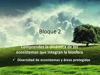 Bloque 2
Comprendes la dinámica de los
ecosistemas que integran la biosfera
 Diversidad de ecosistemas y áreas protegidas
Ing. Zoraida Guadalupe Martínez
Alvarado, M.E.

 