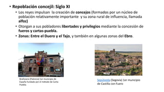 • Repoblación concejil: Siglo XI
• Los reyes impulsan la creación de concejos (formados por un núcleo de
población relativamente importante y su zona rural de influencia, llamada
alfoz)
• Otorgan a sus pobladores libertades y privilegios mediante la concesión de
fueros y cartas-puebla.
• Zonas: Entre el Duero y el Tajo, y también en algunas zonas del Ebro.
Brañosera (Palencia) 1er municipio de
España fundado por el método de Carta-
Puebla.
Sepúlveda (Segovia) 1er municipio
de Castilla con Fuero
 