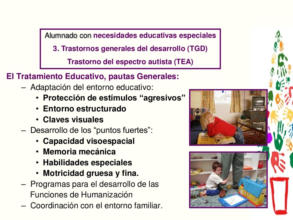 NECESIDADES ESPECÍFICAS DE APOYO EDUCATIVO DEL ALUMNADO EN EDUCACIÓN