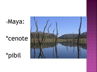 -Maya: 
*cenote 
*pibil 
 
