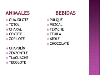  GUAJOLOTE 
 TOTOL 
 CHARAL 
 COYOTE 
 ZOPILOTE 
 CHAPULÍN 
 ZENZONTLE 
 TLACUACHE 
 TECOLOTE 
 PULQUE 
 MEZCAL 
 TEPACHE 
 TEUILA 
 ATOLE 
 CHOCOLATE 
 