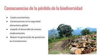 Consecuencias de la pérdida de la biodiversidad
● Costes económicos.
● Consecuencias en la seguridad
alimentaria global.
● Impedir el desarrollo de nuevos
medicamentos.
● Reducir la generación de ganancias
en el ecoturismo.
 