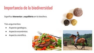 Importancia de la biodiversidad
Significa bienestar y equilibrio en la biosfera.
Tres argumentos:
● Aspecto geológico.
● Aspecto económico.
● Aspecto científico.
 