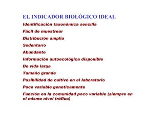 EL INDICADOR BIOLÓGICO IDEAL
Identificación taxonómica sencilla
Fácil de muestrear
Distribución amplia
Sedentario
Abundante
Información autoecológica disponible
De vida larga
Tamaño grande
Posibilidad de cultivo en el laboratorio
Poco variable geneticamente
Función en la comunidad poco variable (siempre en
el mismo nivel trófico)
 