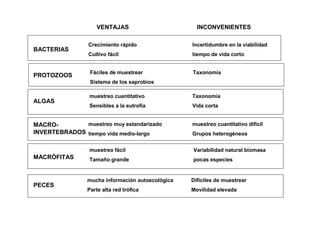VENTAJAS                        INCONVENIENTES

                 Crecimiento ràpido               Incertidumbre en la viabilidad
BACTERIAS
                 Cultivo fácil                    tiempo de vida corto


                 Fáciles de muestrear             Taxonomía
PROTOZOOS
                 Sistema de los saprobios

                 muestreo cuantitativo            Taxonomía
ALGAS
                 Sensibles a la eutrofia          Vida corta


MACRO-        muestreo muy estandarizado          muestreo cuantitativo difícil
INVERTEBRADOS tiempo vida medio-largo             Grupos heterogéneos


                 muestreo fácil                   Variabilidad natural biomasa
MACRÓFITAS       Tamaño grande                    pocas especies


                mucha información autoecològica   Difíciles de muestrear
PECES
                Parte alta red trófica            Movilidad elevada
 