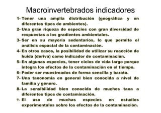 Macroinvertebrados indicadores
1- Tener una amplia distribución (geográfica y en
   diferentes tipos de ambientes).
2- Una gran riqueza de especies con gran diversidad de
   respuestas a los gradientes ambientales.
3- Ser en su mayoría sedentarios, lo que permite el
   análisis espacial de la contaminación.
4- En otros casos, la posibilidad de utilizar su reacción de
   huida (deriva) como indicador de contaminación.
5- En algunas especies, tener ciclos de vida largo porque
   integra los efectos de la contaminación en el tiempo.
6- Poder ser muestreados de forma sencilla y barata.
7- Una taxonomía en general bien conocida a nivel de
   familia y género.
8- La sensibilidad bien conocida de muchos taxa a
   diferentes tipos de contaminación.
9- El    uso    de   muchas      especies     en    estudios
   experimentales sobre los efectos de la contaminación.
 