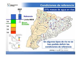 Condiciones de referencia
      REF                    21% masas de agua en ríos

            Referencia
            Límite MB/B
1/4
        Buen
        Estado
1/4

1/4

1/4




                            En algunos tipos de río no se
                               han podido definir las
                             condiciones de referencia
 