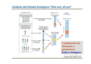 Análisis del Estado Ecológico:”One out, all out”




                                        Combinación de
                                        elementos y
                                        parámetros
                                        Índices biológicos
                                         Guia ECOSTAT
 