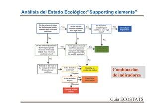 Análisis del Estado Ecológico:”Supporting elements”




                                        Combinación
                                        de indicadores




                                       Guia ECOSTATS
 