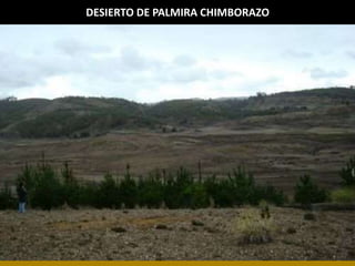 DESIERTO DE PALMIRA CHIMBORAZO 
Elaborado por: Marco Mendieta 
 