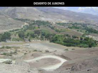 DESIERTO DE JUBONES 
Elaborado por: Marco Mendieta 
 