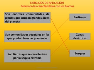 EJERCICIOS DE APLICACIÓN 
Relaciona las características con los biomas 
Son enormes comunidades de 
plantas que ocupan grandes áreas 
del planeta 
Son comunidades vegetales en las 
que predominan las gramíneas 
Son tierras que se caracterizan 
por la sequia extrema 
Elaborado por: Marco Mendieta 
Pastizales 
Zonas 
desérticas 
Bosques 
 