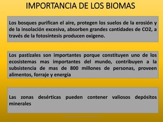 IMPORTANCIA DE LOS BIOMAS 
Los bosques purifican el aire, protegen los suelos de la erosión y 
de la insolación excesiva, absorben grandes cantidades de CO2, a 
través de la fotosíntesis producen oxigeno. 
Los pastizales son importantes porque constituyen uno de los 
ecosistemas mas importantes del mundo, contribuyen a la 
subsistencia de mas de 800 millones de personas, proveen 
alimentos, forraje y energía 
Las zonas desérticas pueden contener valiosos depósitos 
minerales 
Elaborado por: Marco Mendieta 
 