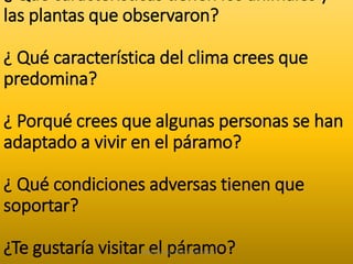 ¿ Qué características tienen los animales y 
las plantas que observaron? 
¿ Qué característica del clima crees que 
predomina? 
¿ Porqué crees que algunas personas se han 
adaptado a vivir en el páramo? 
¿ Qué condiciones adversas tienen que 
soportar? 
¿Te gustaría visitar el páramo? Elaborado por: Marco Mendieta 
 
