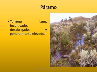 Páramo 
• Terreno llano, 
incultivado, 
desabrigado, y 
generalmente elevado. 
Elaborado por: Marco Mendieta 
 