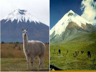 Elaborado por: Marco Mendieta 
 