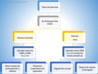Tipos de páramos 
Se distinguen dos 
clases 
Páramo húmedo 
Ubicado entre los 
3400 y 4200 
m.s.n.m 
Altos niveles de 
precipitación y 
neblina 
Presencia 
mayoritaria de 
pajonales 
Páramo 
seco 
Ubicado entre 4200 
m.s.n.m hasta las 
nieves perpetuas 
Vegetación escasa 
Épocas de sequia 
prolongada 
Elaborado por: Marco Mendieta 
 