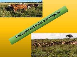 Elaborado por: Marco Mendieta 
 