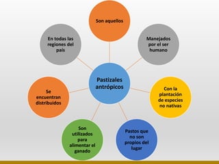Son aquellos 
Pastizales 
antrópicos 
Elaborado por: Marco Mendieta 
Manejados 
por el ser 
humano 
Con la 
plantación 
de especies 
no nativas 
Pastos que 
no son 
propios del 
lugar 
Son 
En todas las 
regiones del 
utilizados 
para 
alimentar el 
ganado 
Se 
país 
encuentran 
distribuidos 
 