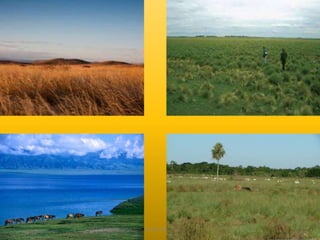 Elaborado por: Marco Mendieta 
 