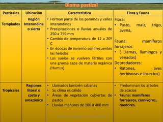 Pastizales Ubicación Característica Flora y Fauna 
Templados 
Región 
Interandina 
o sierra 
• Forman parte de los paramos y valles 
interandinos 
• Precipitaciones o lluvias anuales de 
250 a 759 mm 
• Cambio de temperatura de 12 a 20º 
C 
• En épocas de invierno son frecuentes 
las heladas 
• Los suelos se vuelven fértiles con 
una gruesa capa de materia orgánica 
(Humus) 
Flora: 
• Pasto, maíz, trigo, 
avena, 
Fauna: mamíferos 
forrajeros 
• ( Llamas, llamingos y 
venados) 
Depredadores: 
• Ratones, aves 
herbívoras e insectos) 
Tropicales 
Regiones 
litoral o 
costa y 
amazónica 
• Llamados también sabanas 
• Su clima es cálido 
• Áreas de vegetación cubiertas de 
pastos 
• Lluvias menores de 100 a 400 mm 
• Predominan los arboles 
de acacias 
• Fauna: mamíferos 
forrajeros, carnívoros, 
roedores. 
Diapositivas Elaboradas por: Marco Mendieta 
 