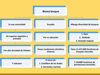 Bioma bosque 
Es una comunidad 
De especies vegetales y 
animales 
Con alta densidad de Árboles 
Y arbustos 
Ecuador 
Por su ubicación 
Posee condiciones climáticas 
diversas 
A causa de: 
1. Cordillera de los Andes 
2. Corrientes marinas 
Alberga diversidad de bosques 
1. Seco 
2.. Nublado 
3. Húmedo tropical 
Tiene 11.473.000 hectáreas de 
bosques naturales 
Y 165000 hectáreas de 
plantaciones forestales 
 