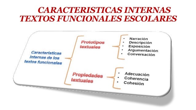 Estructura Internas Y Externas Delos Textos Funcionales