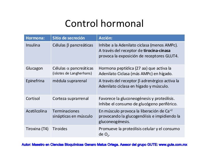definicion metabolismo basal son un problema serius?