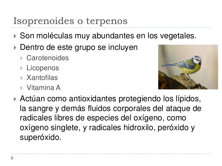 cadenas montañosas mas largas bloque 3 cadenas montañosas mas largas bloque 3