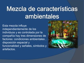 Esta mezcla influye
independientemente de los
individuos y es controlada por la
compañía hay tres dimensiones de
factores: condiciones ambientales ,
disposición espacial y
funcionalidad y señales, símbolos y
artefactos.
 