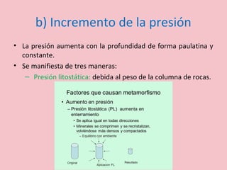 b) Incremento de la presión
• La presión aumenta con la profundidad de forma paulatina y
constante.
• Se manifiesta de tres maneras:
– Presión litostática: debida al peso de la columna de rocas.
 