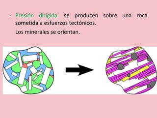 - Presión dirigida: se producen sobre una roca
sometida a esfuerzos tectónicos.
Los minerales se orientan.
 